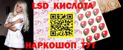 ECSTASY Камышлов