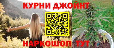 ECSTASY Камышлов