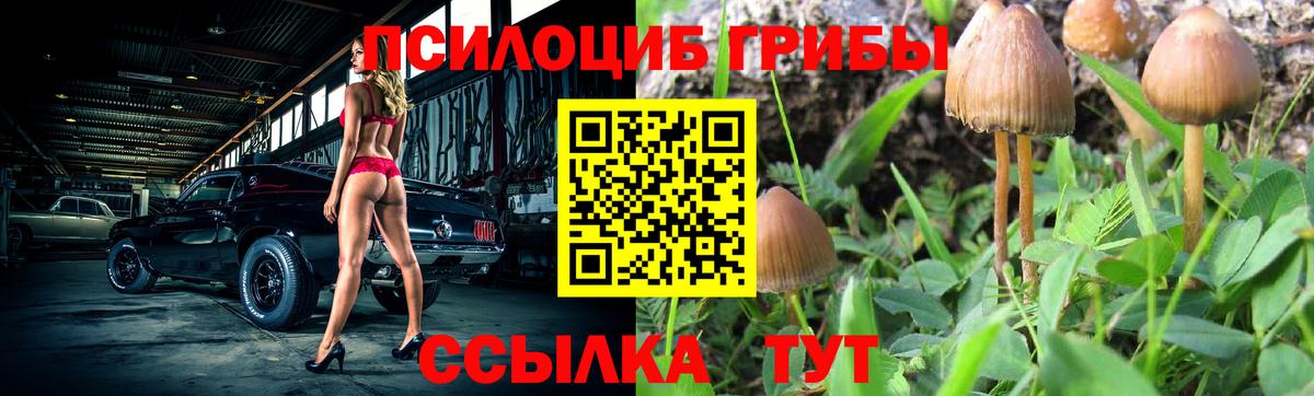 Псилоцибиновые грибы Psilocybine cubensis  Вход с VPN  Псилоцибиновые грибы мухоморы  Чита 