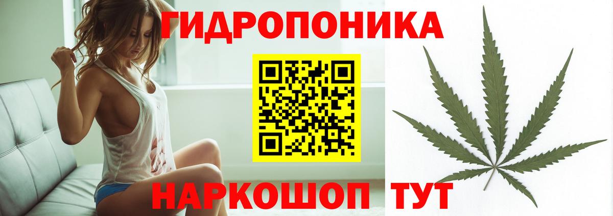 Бошки марихуана конопля  Канабис MAZAR  Чита  Бошки Шишки Ganja  Вход с VPN 